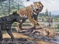 Dire Wolf and Smilodon