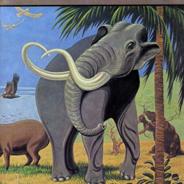 Fossil Mammals of Florida