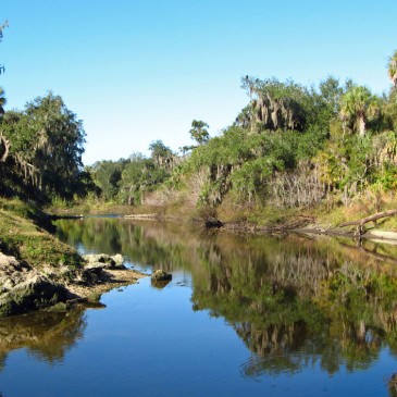 Peace River Water Levels
