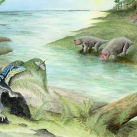Meet the ‘Antarctic king,’ an unlikely fossil from 250 million years ago