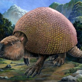 This Ancient Giant Armadillo Is Responsible For Giving Us The Avocado